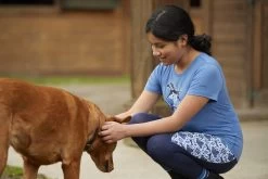 Kerrits® Kids Performance Knee Patch Tight -Equestrian Supply Shop 60282 kidspaintedhorsetee 60500 kidsperformancetightkp 002