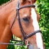 KL Select Black Oak Aster Hunter Bridle