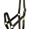 Gatsby Economy Leather Halter