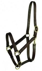 Gatsby Economy Leather Halter