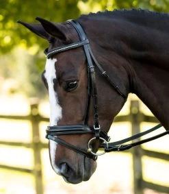 KL Select Italia Pirouette Bridle