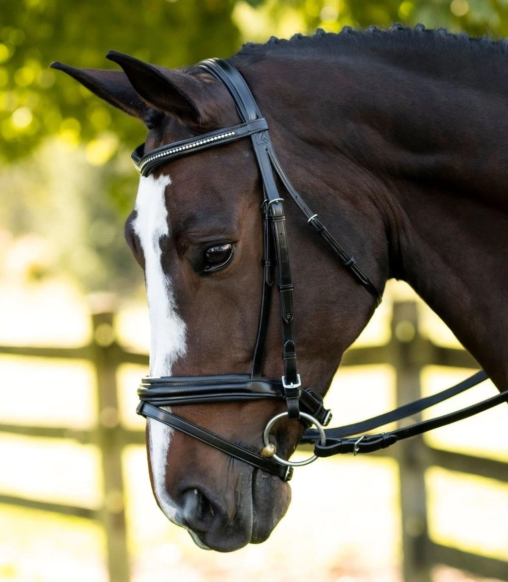 KL Select Italia Pirouette Bridle 1 KL Select Italia Pirouette Bridle
