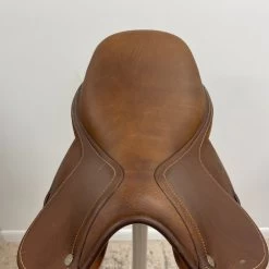 Antares 17" 1A M -Equestrian Supply Shop img 1081