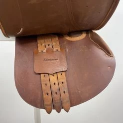 Antares 17" 1A M -Equestrian Supply Shop img 1084