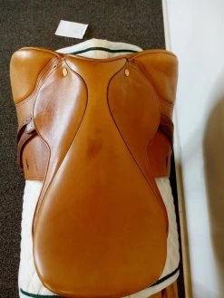 Beval LTD 16.5 N" -Equestrian Supply Shop img 20230920 111814