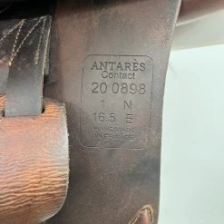 Antares 16.5" MW -Equestrian Supply Shop img 3452