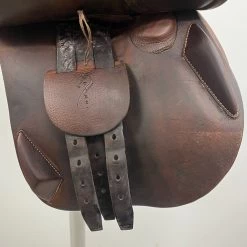 Antares 16.5" MW -Equestrian Supply Shop img 3454