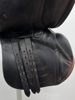 County Symmetry 18" MW -Equestrian Supply Shop img 5797