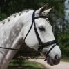 KL Italia Pirouette Weymouth Bridle