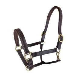 RHC Padded Leather Halter With Fancy Stitching