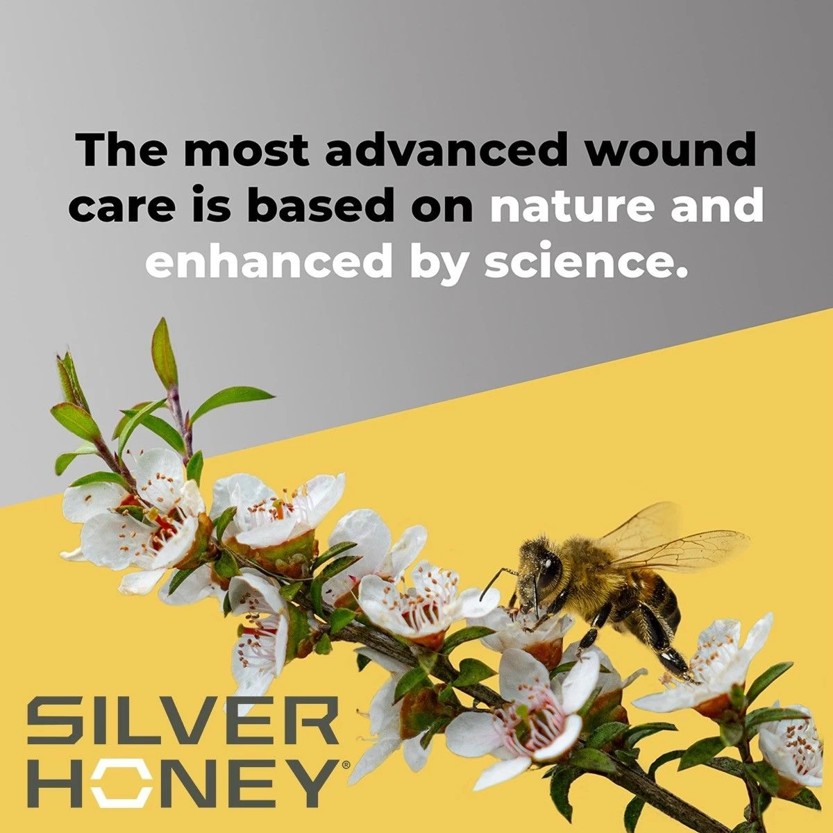 Absorbine® Silver Honey® Rapid Skin Relief Medicated Shampoo 4 Absorbine® Silver Honey® Rapid Skin Relief Medicated Shampoo - Image 4