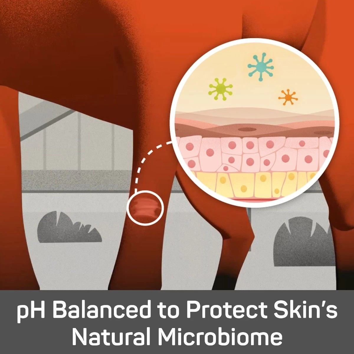 Absorbine® Silver Honey® Rapid Skin Relief Medicated Shampoo 3 Absorbine® Silver Honey® Rapid Skin Relief Medicated Shampoo - Image 3