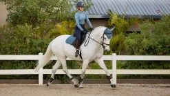 LeMieux Loire Classic Close Contact Square Pad -Equestrian Supply Shop tracyrobertson april2021 028 1