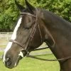 Red Barn Sovereign Bridle