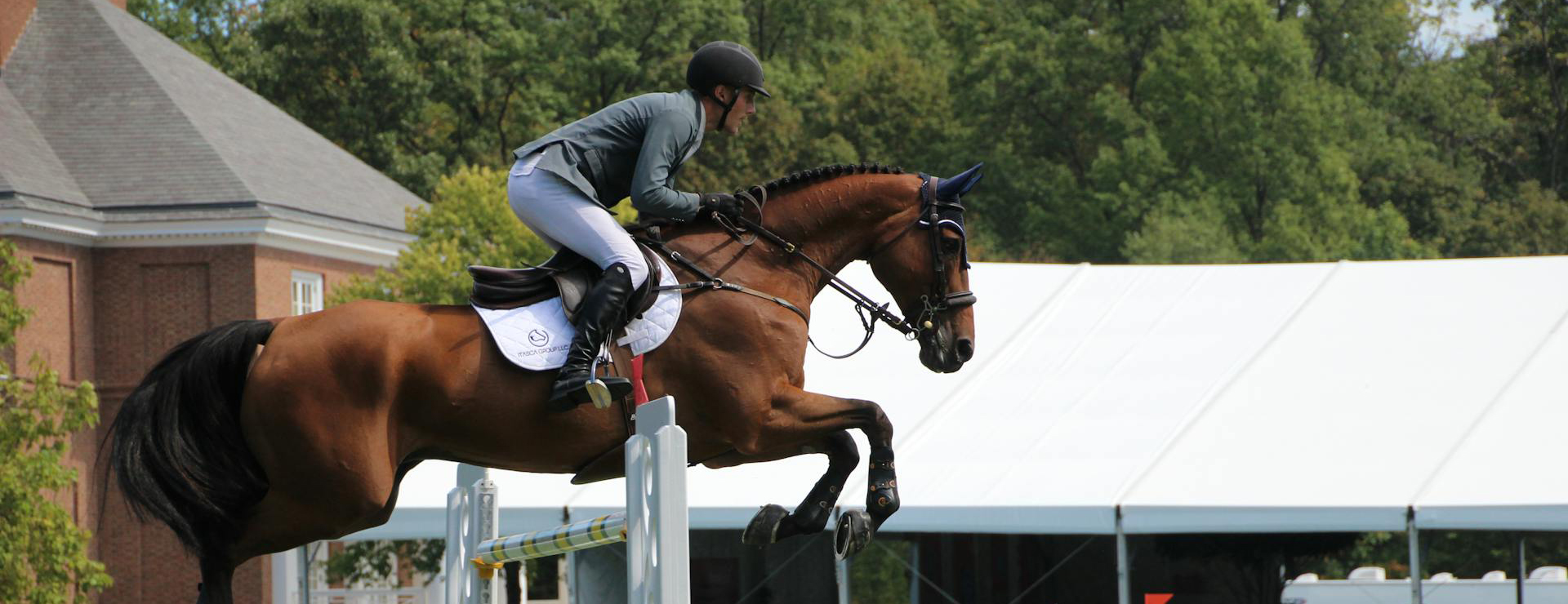 Equestrian Supply Shop -Equestrian Supply Shop pexels grace earley 3295025 5663046